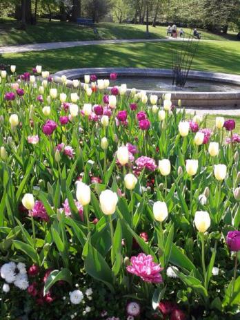 10177296_10203588472663439_8444054129147809029_n