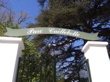 10259731_10203588474663489_3538477226831547921_n