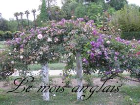 10402571_10203975879508368_457974446466929012_n