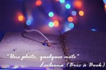 une-photo-quelques-mots1-300x199