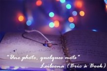 une-photo-quelques-mots1-300x199