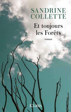 CVT_Et-toujours-les-Forets_4992