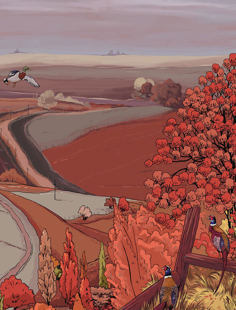 53336-planche-bd-sombres-citrouilles