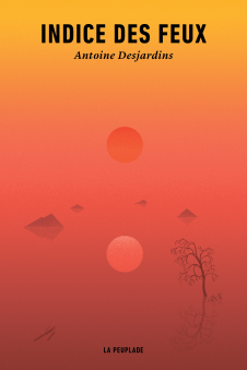 C1-IndiceDesFeux-1-226x339